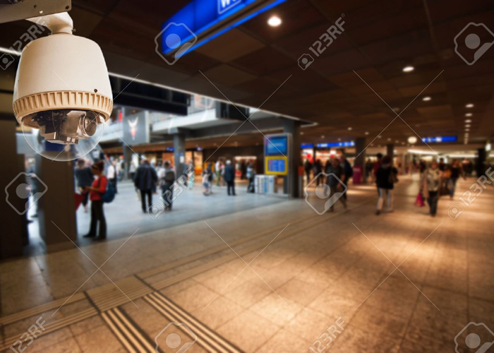 Pedestrian Monitor